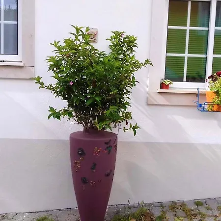 Apartment Comfortable In With Shared Pool 30 M² *