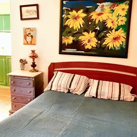 Comfortable In With Shared Pool 30 M² * Nazare