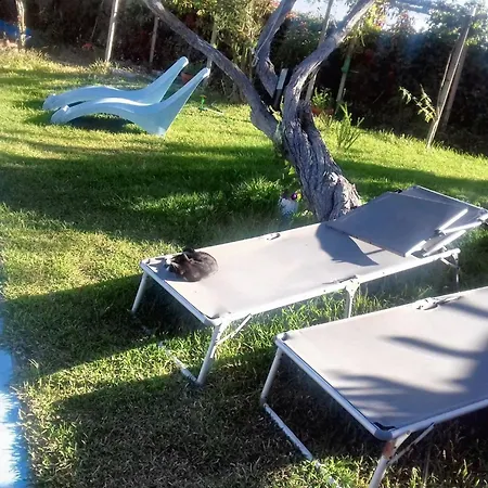 Comfortable In With Shared Pool 30 M² * Nazare