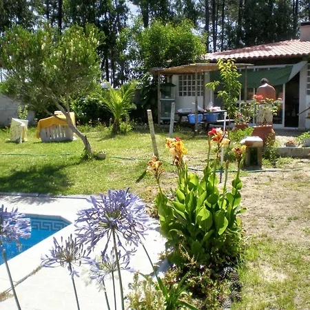 Comfortable In With Shared Pool 30 M² Apartment Nazare