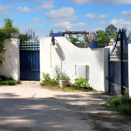 Comfortable In With Shared Pool 30 M² Nazare