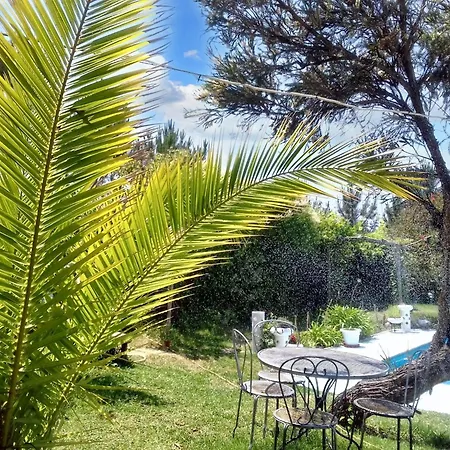 Comfortable In With Shared Pool 30 M² Apartment *